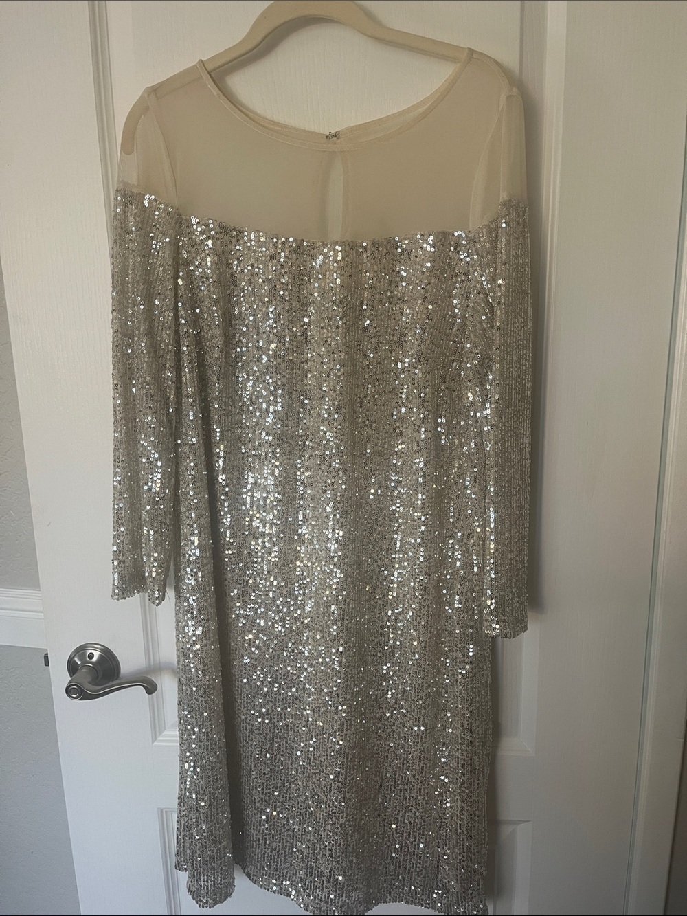 R&M Richards Silver Sequin Mesh Yoke Long Sleeve Dress